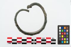 Foto von Bronzemelonenarmreif (NHMW-PRAE-025365)